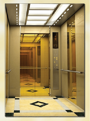 THANG MÁY TẢI KHÁCH PHOENIX ELEVATOR 01/TK