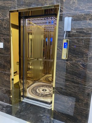 THANG MÁY TẢI KHÁCH PHOENIX ELEVATOR 03/TK