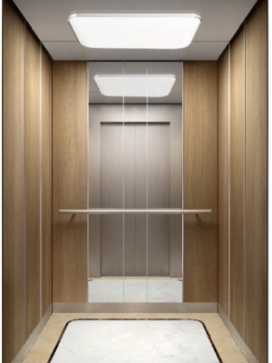 THANG MÁY TẢI KHÁCH PHOENIX ELEVATOR 07/TK