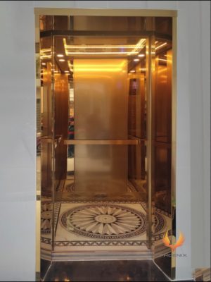 thang máy biệt thự