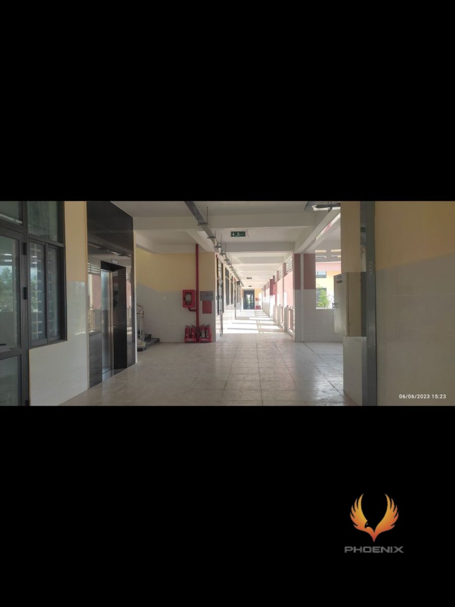 THANG MÁY GIA ĐÌNH PHỤNG HOÀNG GD20 - MẪU 2023 - Image 5