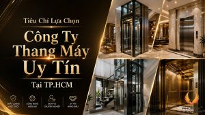 Công ty thang máy uy tín tại tphcm