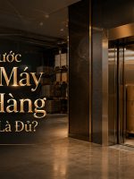 Kích thước thang máy nâng hàng