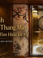 Quy trình lắp đặt thang máy tải khách