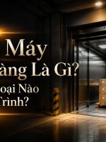 thang máy nâng hàng