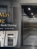 Lắp đặt thang máy tải hàng tại Bình Dương